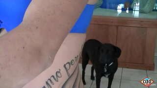 Inc Babe Ei Cleo yn hoffi i roi help llaw pan fydd dick mawr angen i ryddhau straen, hyd yn oed yn fwy os gall hi gael cum cynnes i gyd dros ei tits! Felly &#039; n glws! Fideo Llawn &amp;amp; Ei Holl Cleo @ ItsCleoLive.com!